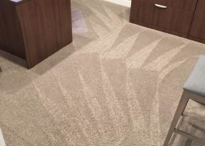 Carpet Cleaning in Utah