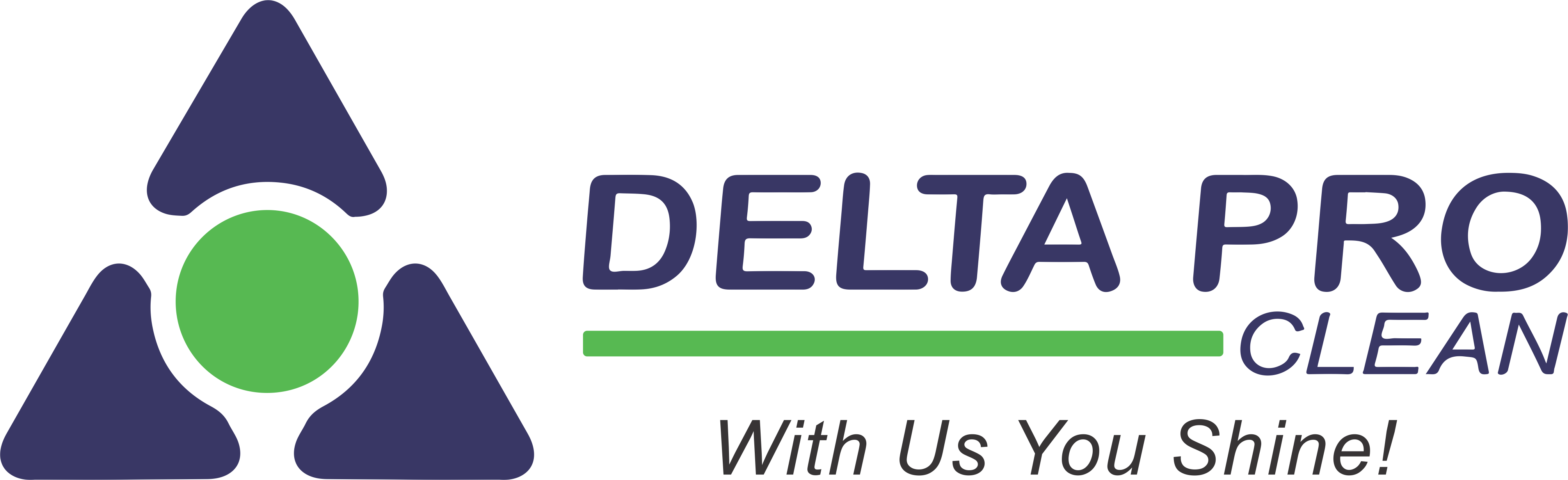 Delta Pro Clean