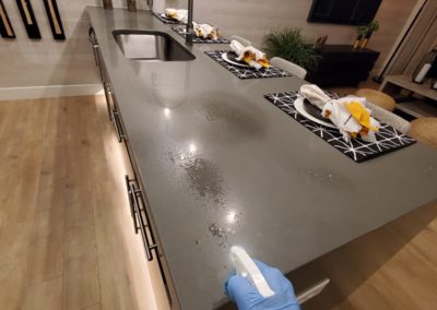 Sanitization Cleaning for Model Home