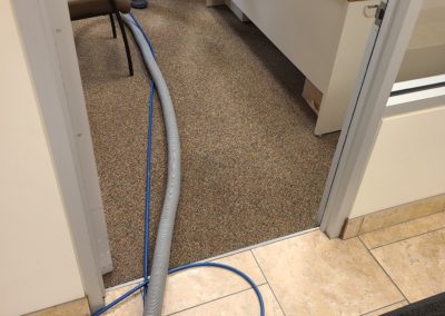 Carpet Cleaning Service in Utah