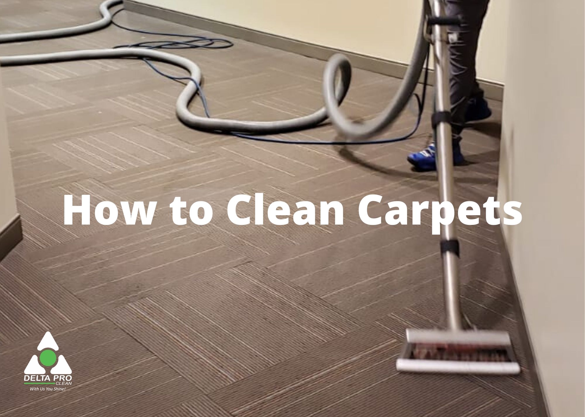 How to Clean Carpets Delta Pro Clean