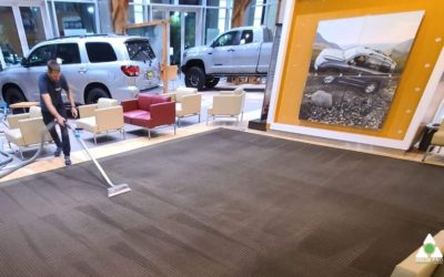 How to Clean Carpets