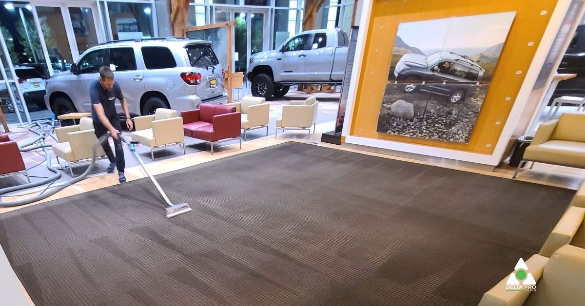 How to Clean Carpets Delta Pro Clean