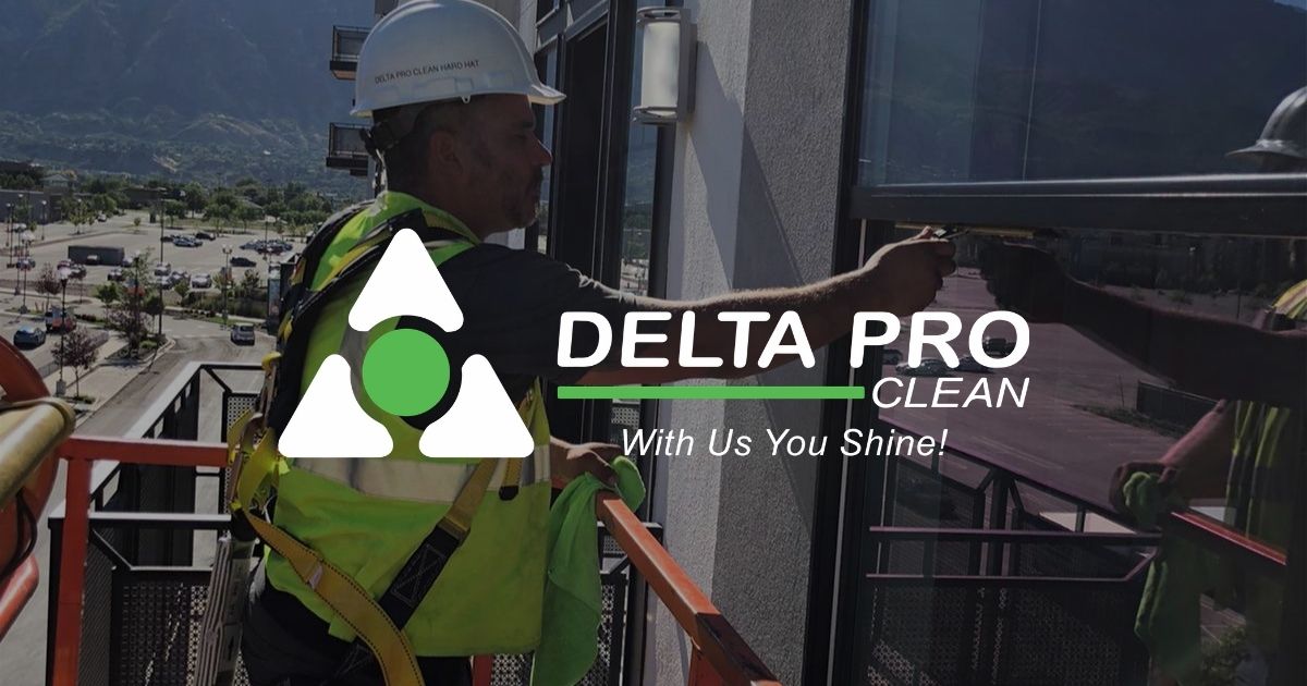 window washing delta pro clean