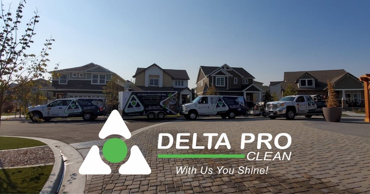 Delta Pro Clean Utah